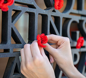 Person placing a poppy on a poppy wall