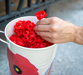 Person picking up a poppy from a bucket