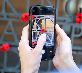 Person taking a photo of a poppy on the poppy wall