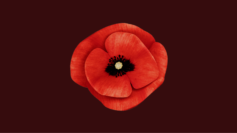 Red Remembrance Day Poppy