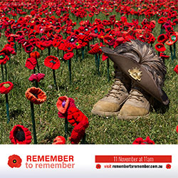 Remembrance Day assets